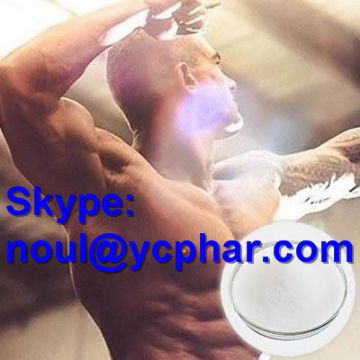 Boldenone Undecylenate